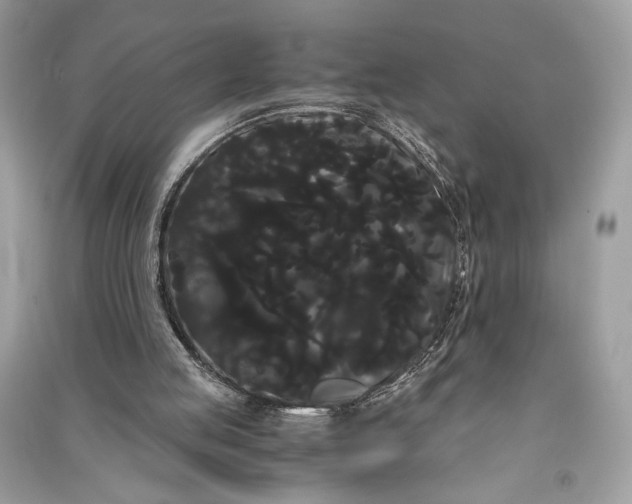 X0000090860053200708101228