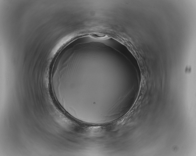 X0000090860054200708101228