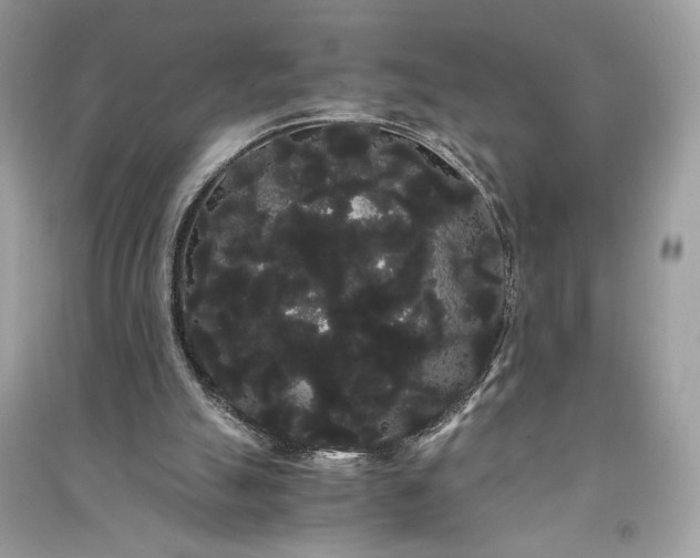 X0000090860055200708101228