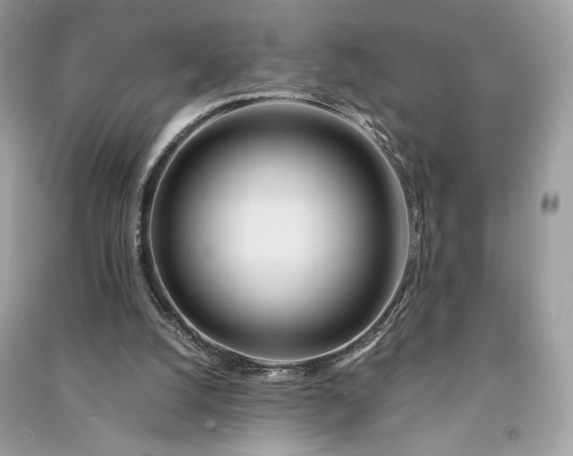 X0000090860056200708101228