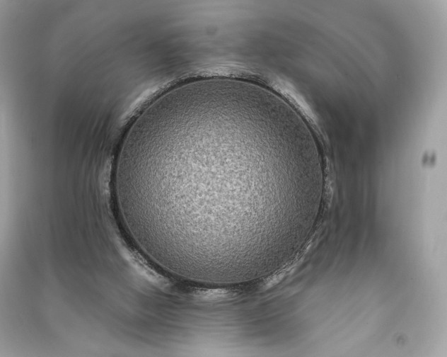 X0000090860058200708101228