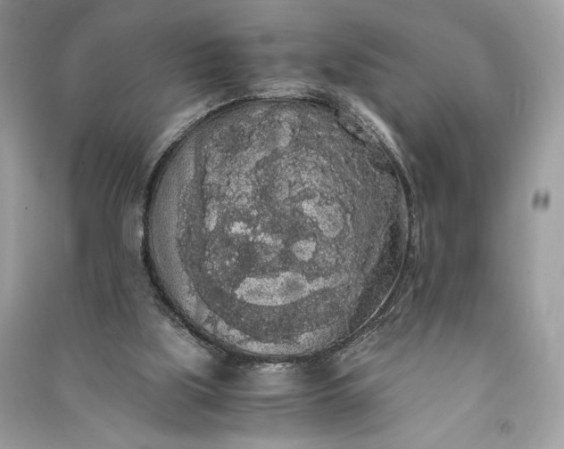 X0000090860059200708101228