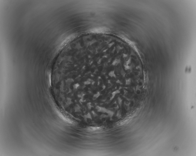 X0000090860061200708101228