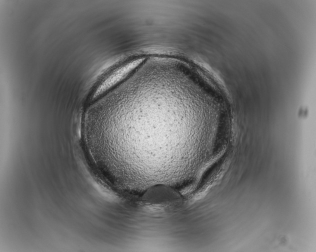 X0000090860062200708101228