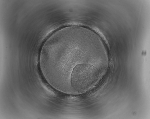 X0000090860063200708101228