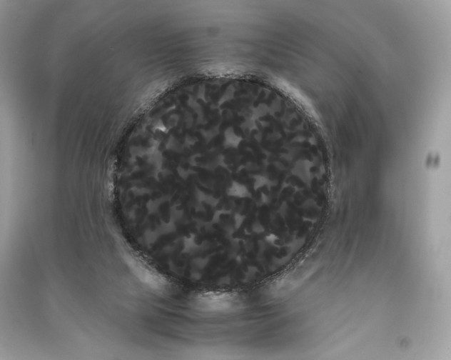 X0000090860065200708101228