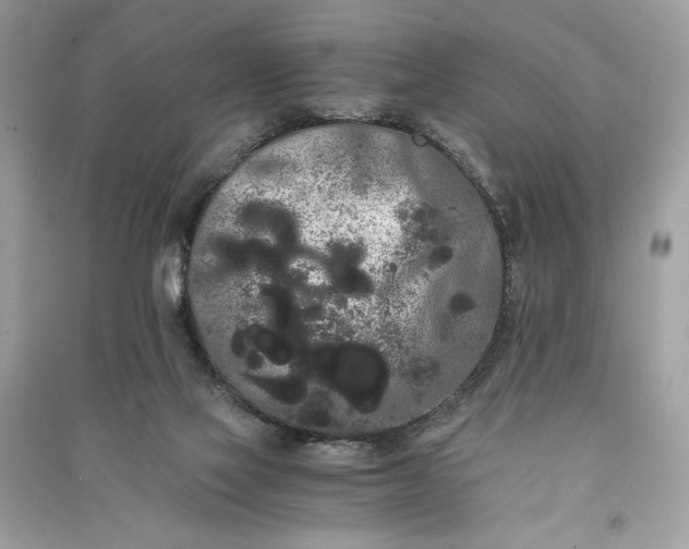 X0000090860069200708101228