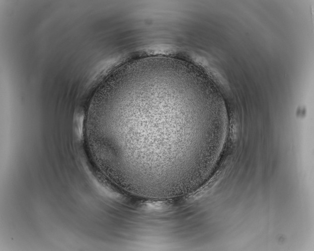 X0000090860070200708101228