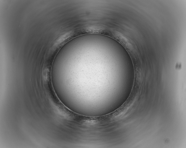 X0000090860071200708101228