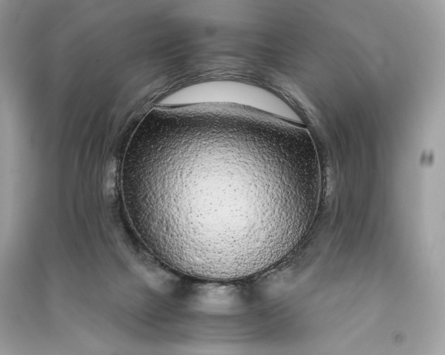 X0000090860073200708101228