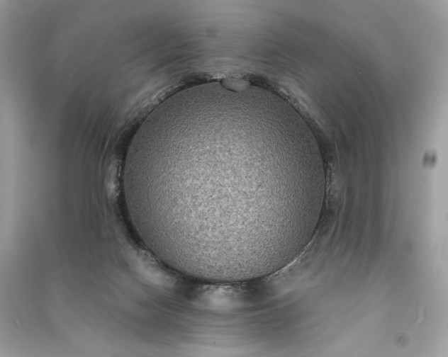 X0000090860074200708101228