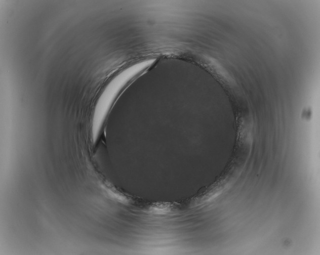 X0000090860076200708101228