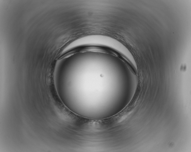 X0000090860080200708101228