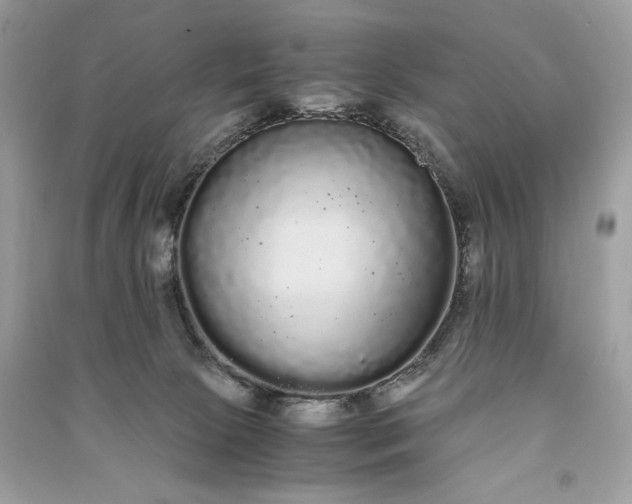 X0000090860081200708101228