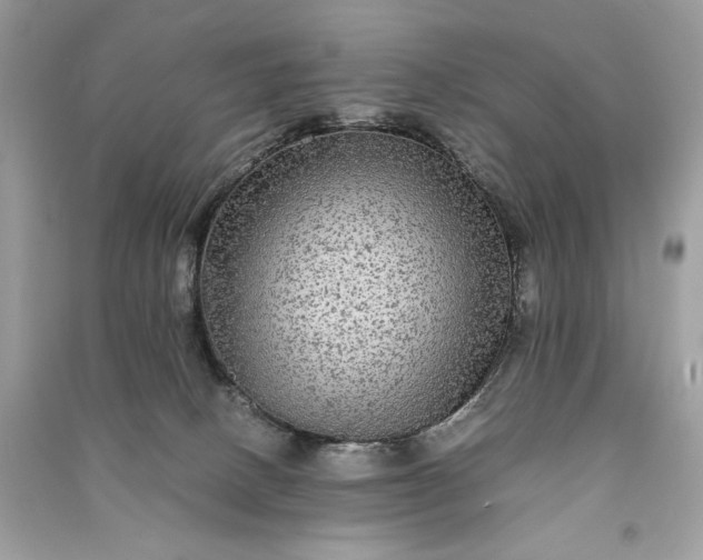 X0000090860082200708101228