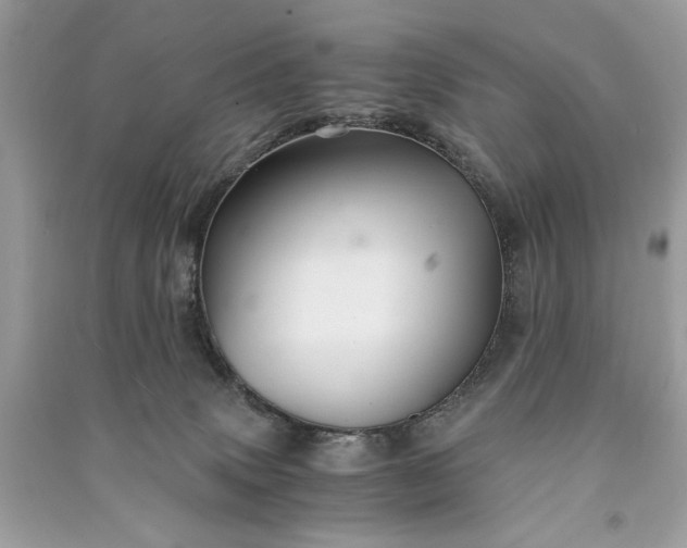 X0000090860083200708101228