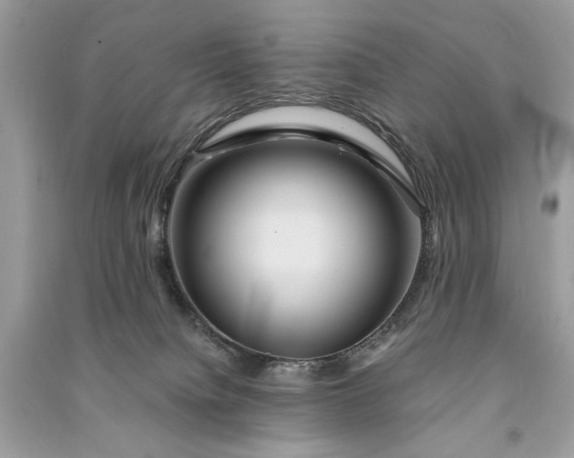 X0000090860084200708101228