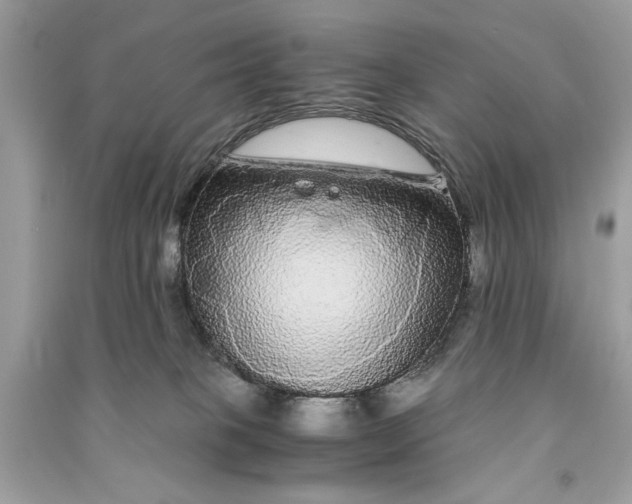 X0000090860085200708101228