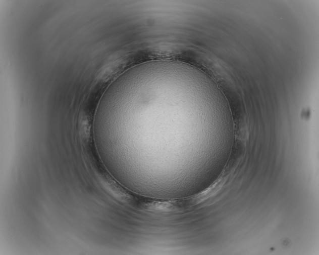 X0000090860086200708101228