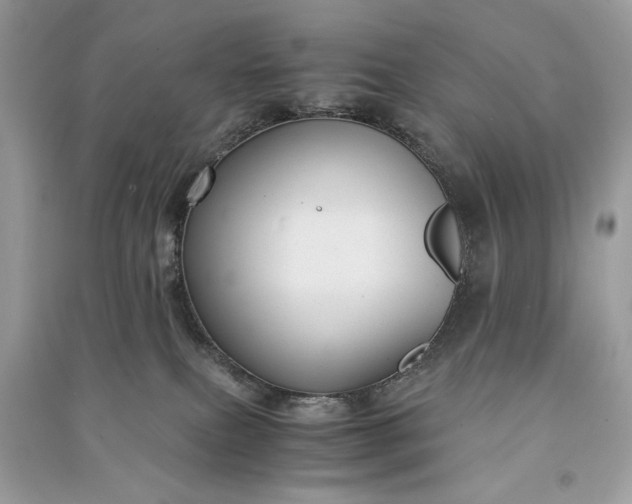 X0000090860087200708101228