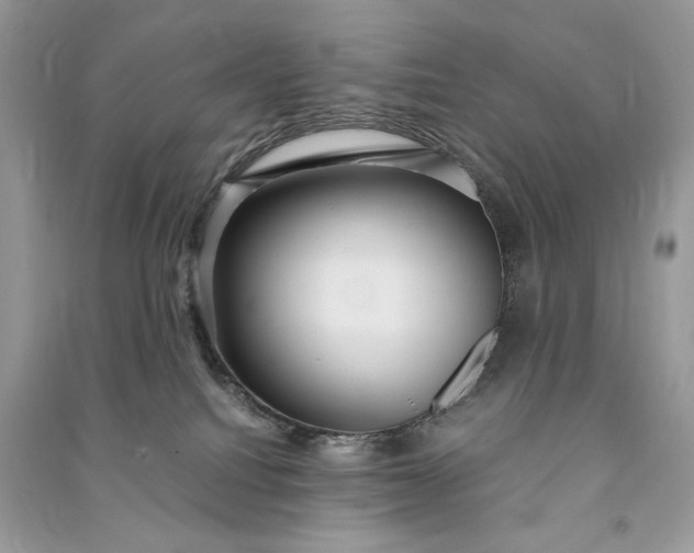 X0000090860088200708101228