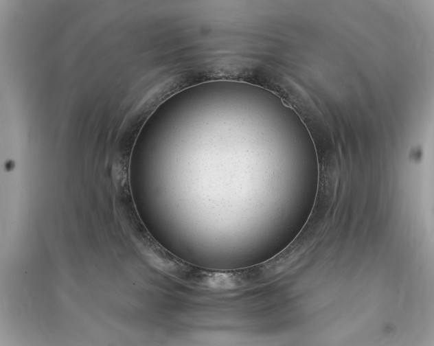 X0000090860091200708101228