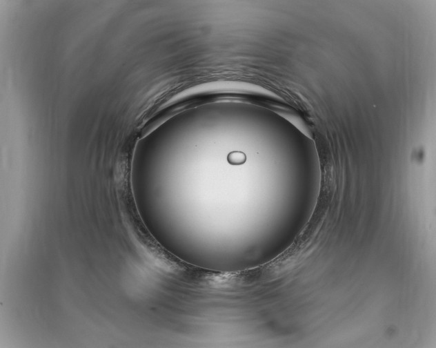 X0000090860092200708101228