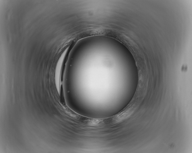 X0000090860096200708101228