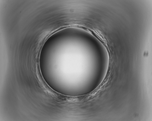 X0000090860097200708101228