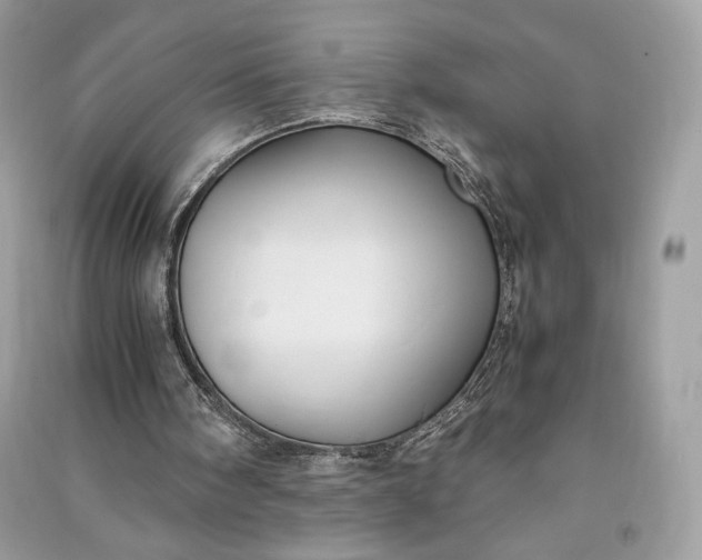 X0000090860098200708101228