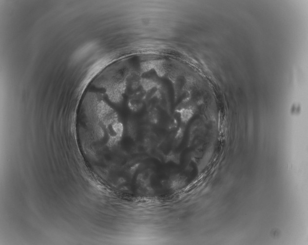 X0000090860099200708101228