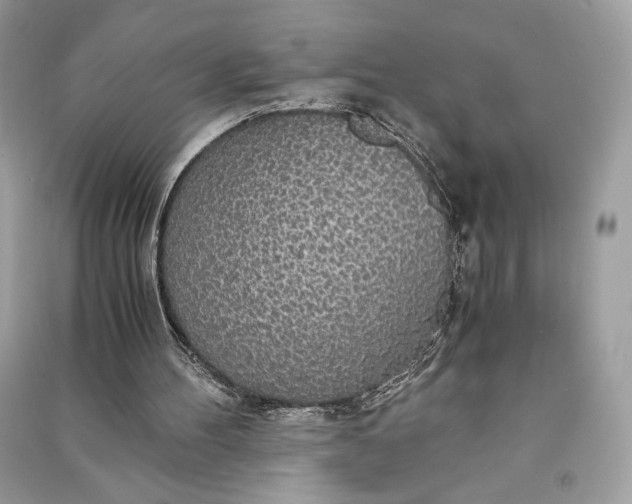 X0000090860100200708101228