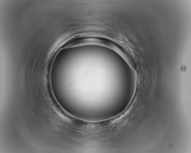 X0000090860101200708101228