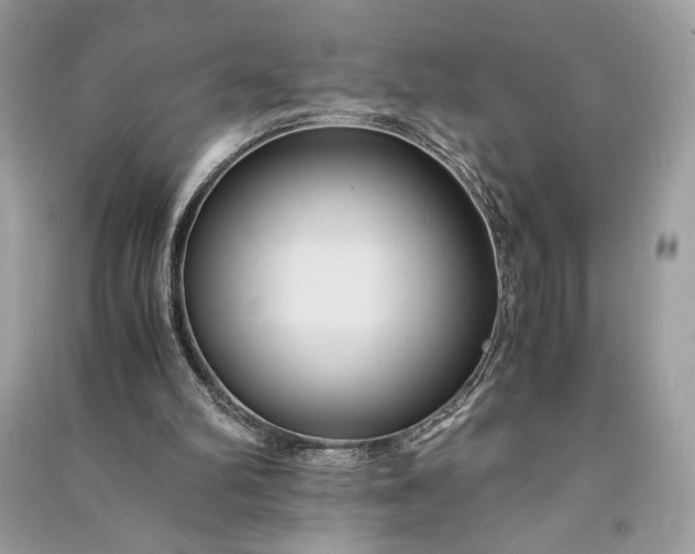 X0000090860102200708101228