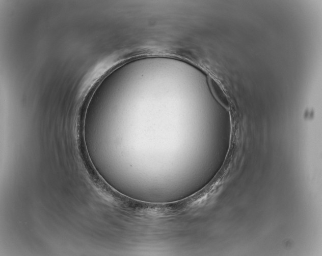 X0000090860103200708101228