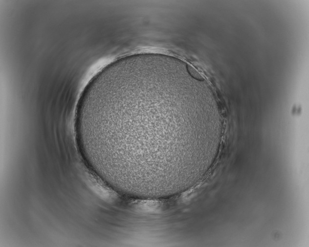 X0000090860104200708101228