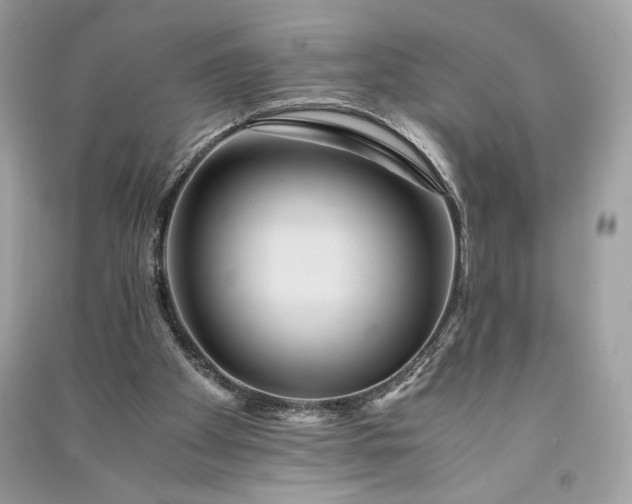 X0000090860105200708101228