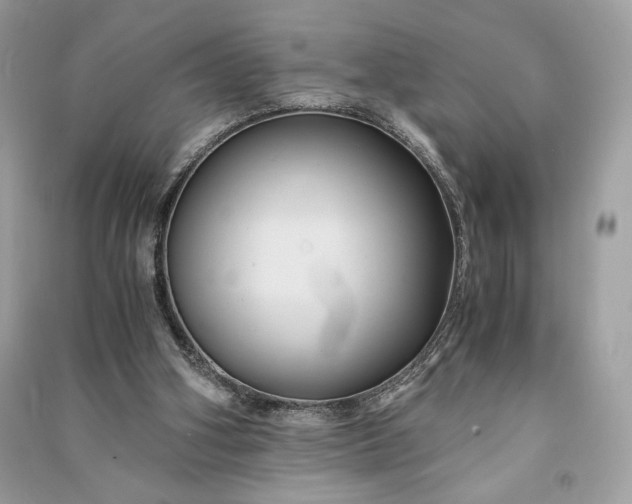 X0000090860106200708101228