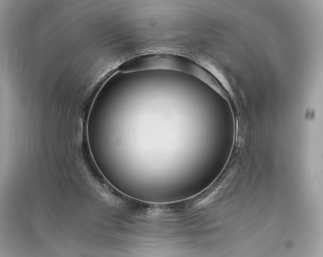 X0000090860109200708101227