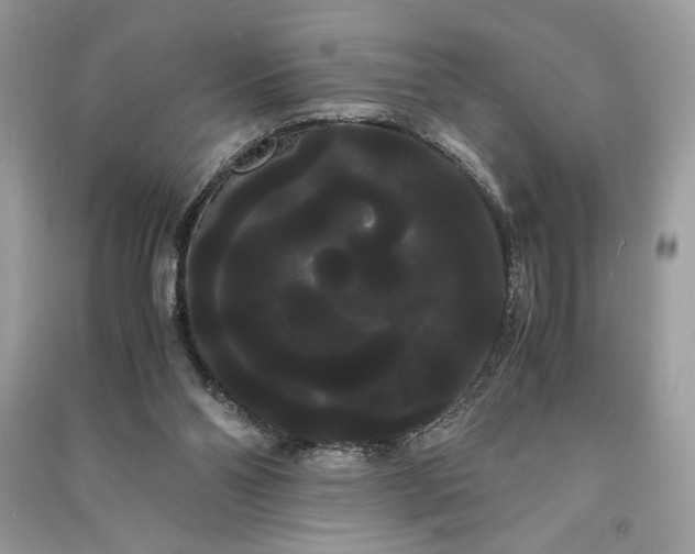 X0000090860110200708101227