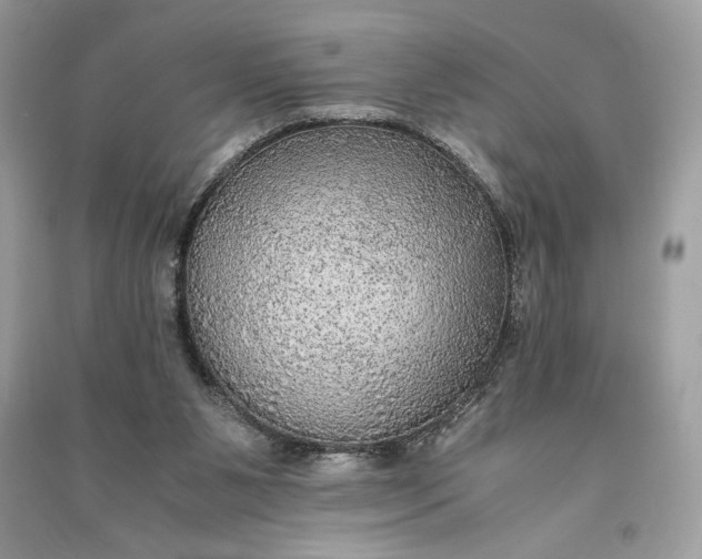 X0000090860111200708101227