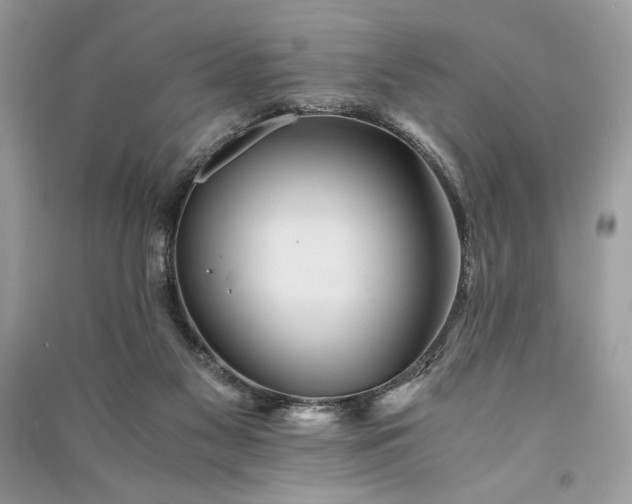 X0000090860117200708101227