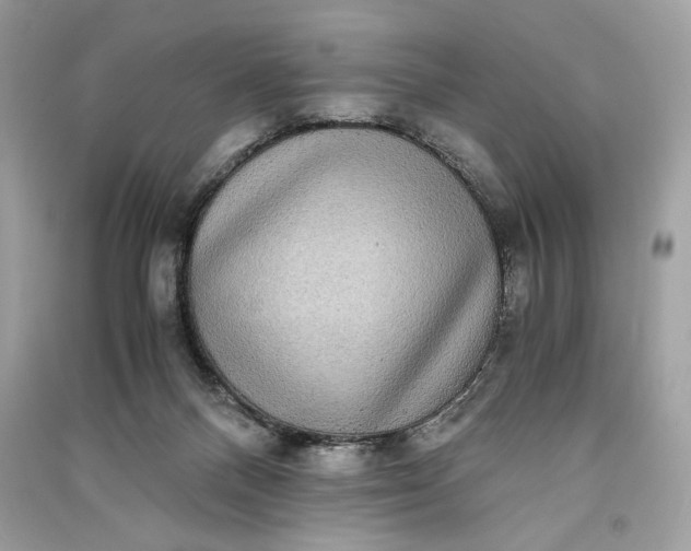 X0000090860120200708101227