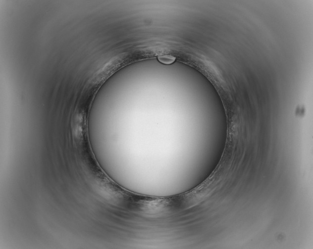 X0000090860122200708101227