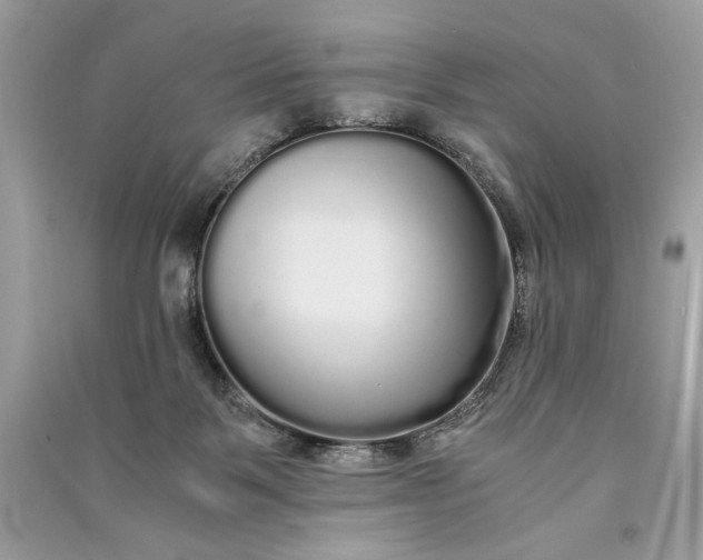 X0000090860123200708101227