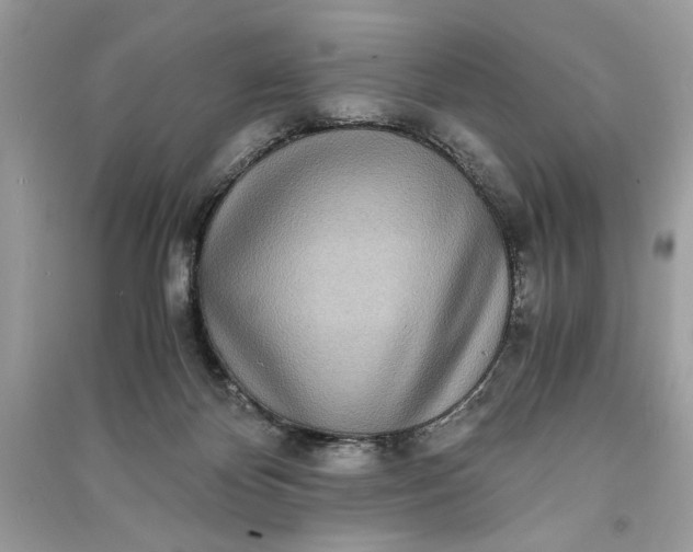 X0000090860124200708101227