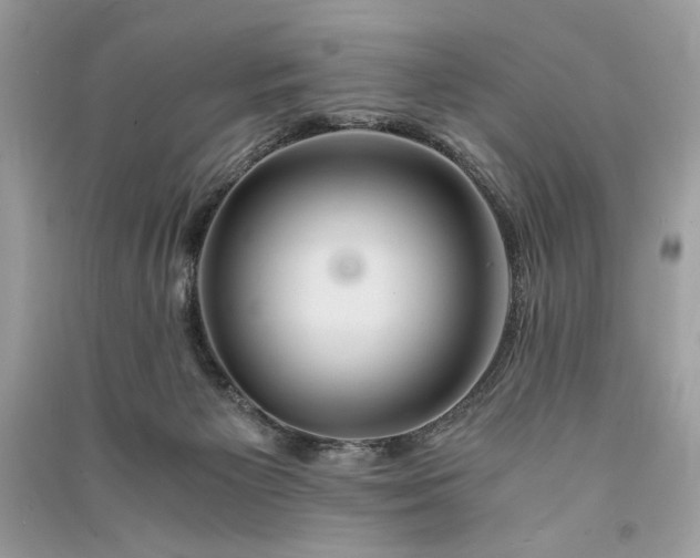 X0000090860125200708101227