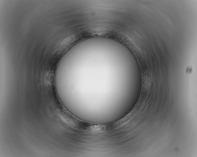 X0000090860126200708101227