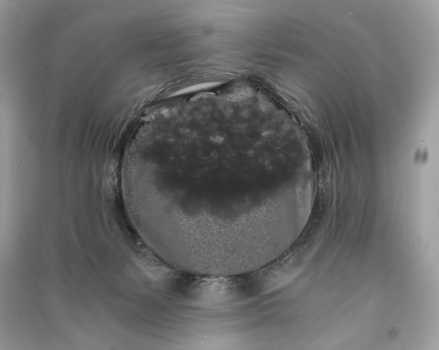 X0000090860127200708101227