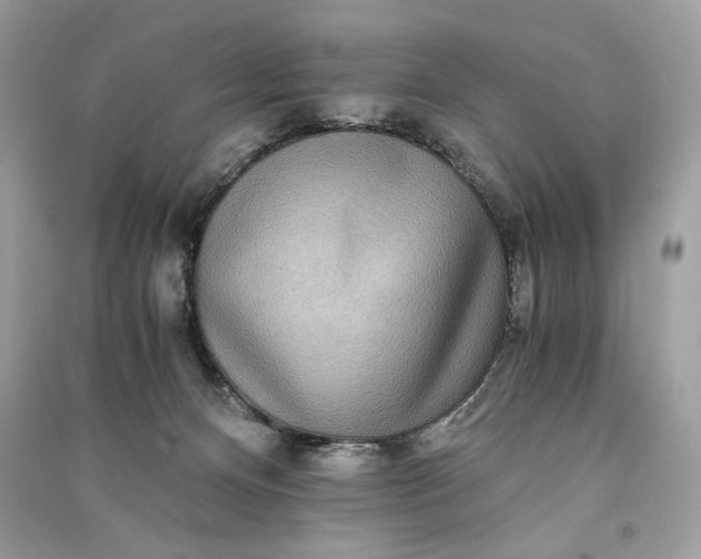 X0000090860128200708101227